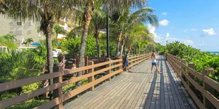 Miami Coastal Private Tour