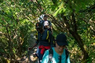 Juneau Mendenhall Glacier Guided Hike thumbnail 5