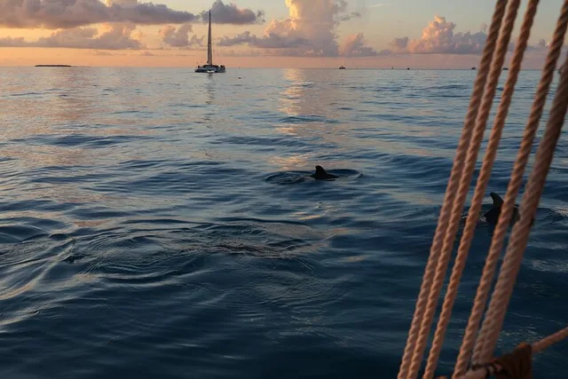 Key West Schooner Sunset Sail with Open Bar - Image 2