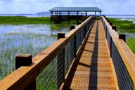 Orlando Airboat Ride and Wildlife Park Tour thumbnail 3