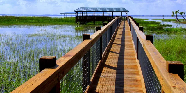 Orlando Airboat Ride and Wildlife Park Tour - Image 3
