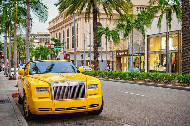 Los Angeles City and Shopping Tour in a Limo - Image 3