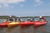 Hilton Head Kayak Dolphin Nature Tour 2 hr thumbnail 6