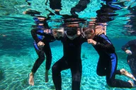 Crystal River Manatee Swim 3 hr thumbnail 4
