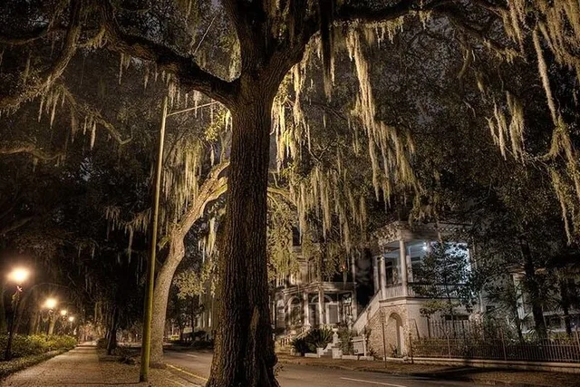 Savannah Haunted Pub Crawl Late Night - Image 2