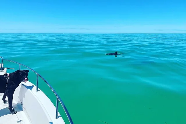 Key West Island Hop Sandbar Adventure 4 hr - Image 4