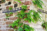 Charleston Historic District Walking Tour thumbnail 6