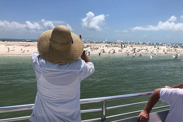 Marco Island Boat Excursion with Dolphins & Shelling 3.5 hr - Image 3
