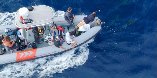 San Diego Shark Snorkel Adventure - Image 4