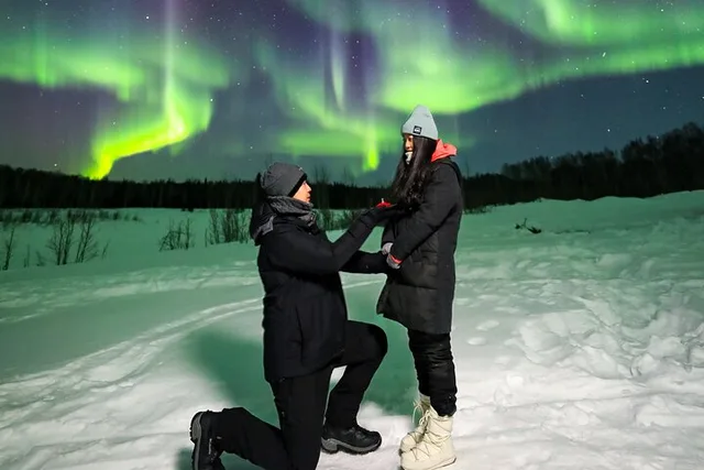 Fairbanks Aurora Borealis Night Tour 4 hr - Image 2