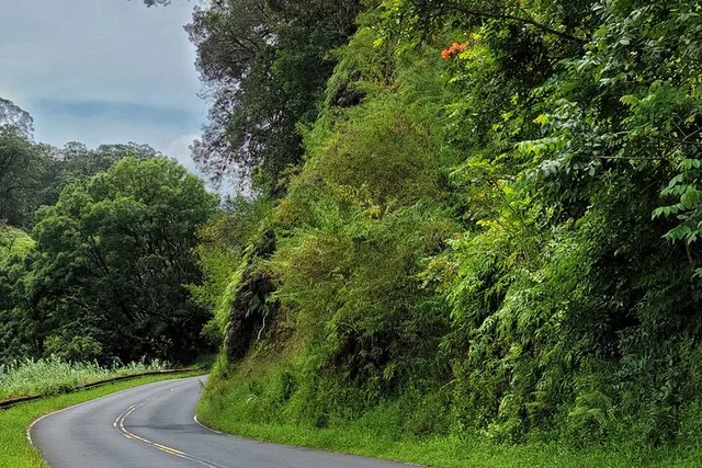 Maui Road to Hana Private Tour - Image 2