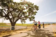 Santa Ynez Wine Country Bike Tour with Lunch thumbnail 1