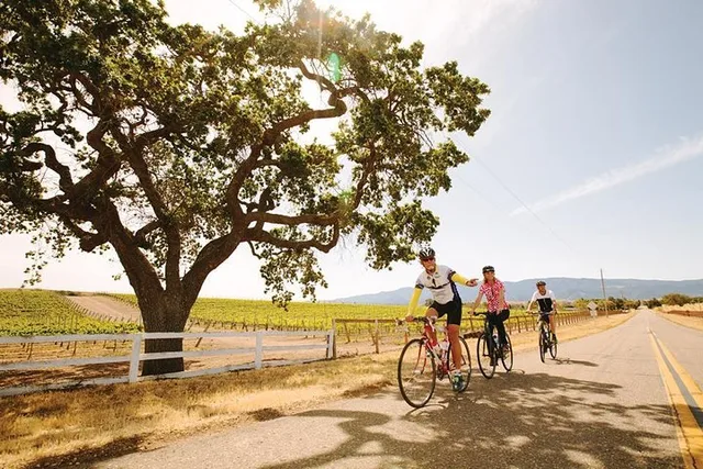 Santa Ynez Wine Country Bike Tour with Lunch - Image 1