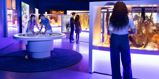 Los Angeles Natural History Museum Entry + Orcas Exhibition - Image 6