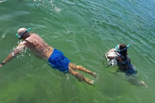 Miami Snorkeling Tour from Bayside Market Place