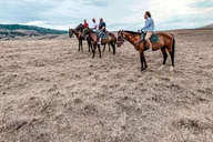 Phoenix Desert Horseback Ride with Lunch thumbnail 3