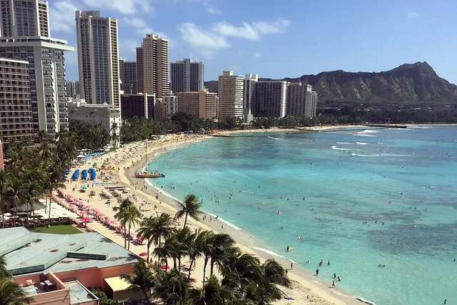 Waikiki Scavenger Hunt - Image 6
