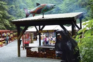 Juneau Kayak and Salmon Bake Adventure thumbnail 5