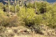 Arizona Jeep Tour on the Great Western Trail thumbnail 5