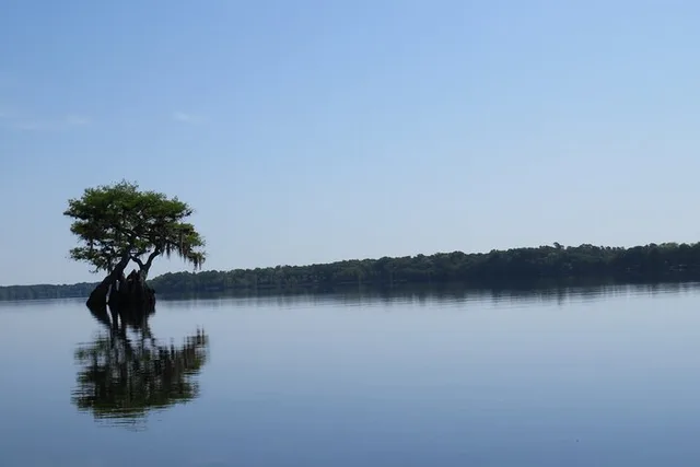 Lake Norris Kayak Tour 3 hr - Image 3