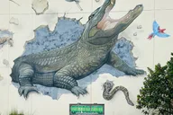 Orlando Gatorland Day Trip thumbnail 4