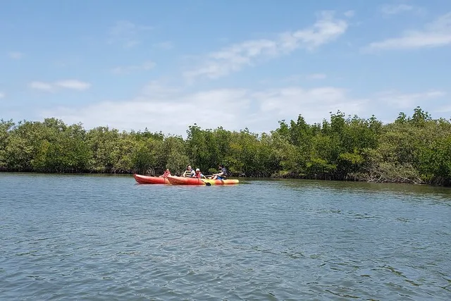 New Smyrna Beach Kayaking Ecotour - Image 2