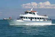 Miami Deep Sea Fishing Trip thumbnail 1