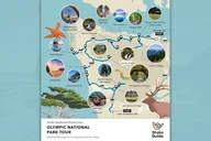Seattle National Park Self-Guided Tour Bundle thumbnail 6