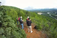 Denali Hiking Tour with Naturalist Guide 5 hr thumbnail 1