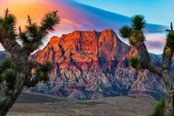 Las Vegas Red Rock Canyon Guided Driving Adventure thumbnail 1