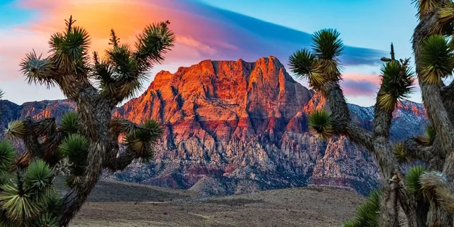 Las Vegas Red Rock Canyon Guided Driving Adventure - Image 1