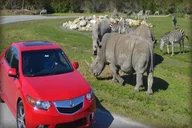 Miami Fort Lauderdale & Palm Beach Day Tour thumbnail 3
