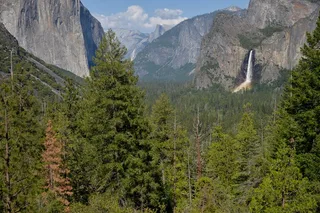 Yosemite National Park Private Tour 2 Days
