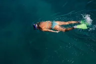 Key West Eco Sandbar Snorkeling Tour thumbnail 6