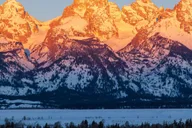 Jackson Hole Grand Teton Wildlife Safari 4 hr thumbnail 1