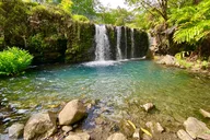 Maui Road to Hana Private Tour thumbnail 2