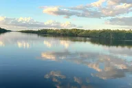Faka Union Canal Mangrove and Gulf Excursion 2 hr thumbnail 4