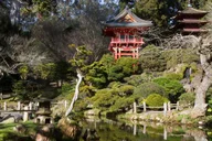 San Francisco Golden Gate Park Surrey Rental thumbnail 4