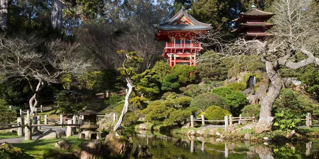 San Francisco Golden Gate Park Surrey Rental - Image 4