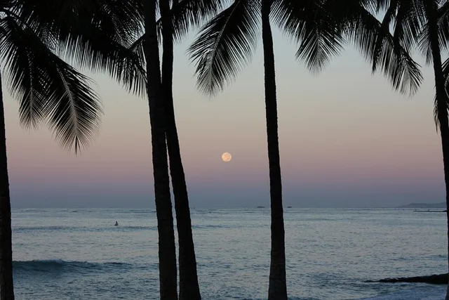 Oahu Photography Tour - Image 3