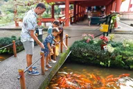 Oahu Circle Island and Haleiwa Tour 9 Hr thumbnail 4