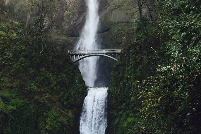 Portland Columbia River Gorge & Waterfalls Tour - Image 4