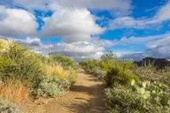 Tucson Self-Guided Driving Audio Tour thumbnail 2