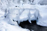 Fairbanks Chena Hot Springs and Ice Museum Tour thumbnail 4