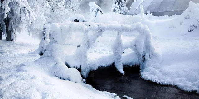 Fairbanks Chena Hot Springs and Ice Museum Tour - Image 4