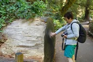San Francisco Muir Woods and Sausalito Tour thumbnail 2