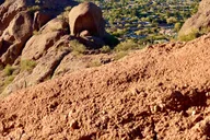 Phoenix Sonoran Desert Guided Hike 2 hr thumbnail 4