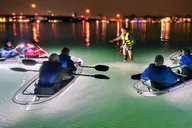Sarasota Clear Kayak LED Night Tour thumbnail 2