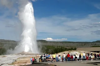 Yellowstone Private SUV Tour Full Day