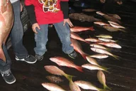 Fort Lauderdale Deep Sea Drift Fishing Trip 4 hr thumbnail 4